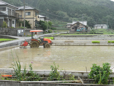 画像: 田植も終わりに近づく