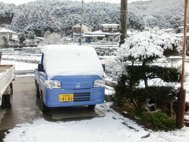 画像: 雪