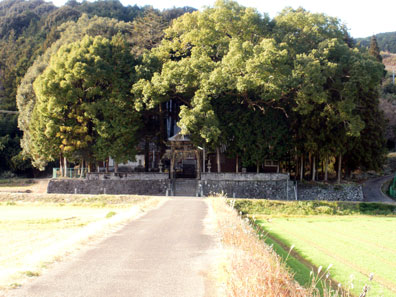 画像: 田圃の近くの神社