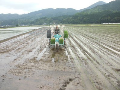 画像: 田植が始まりました”