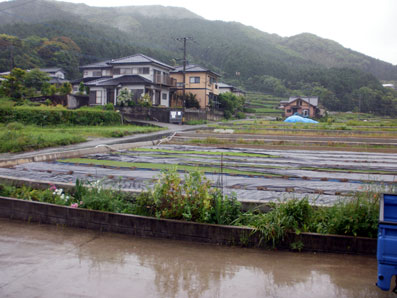 画像: 台風