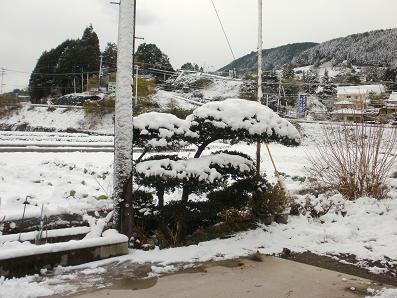 画像: 正月前の大雪