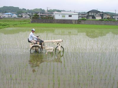 画像: 田んぼの除草